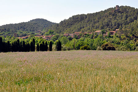 Sant Martí de les Escaules