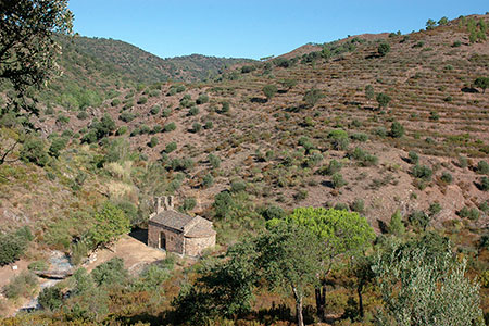 Sant Silvestre de Valleta