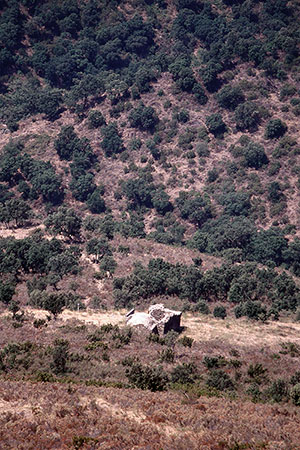 Sant Martí de Vallmala