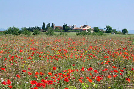 Santa Maria de Pols