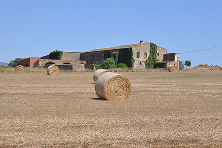 Sant Miquel Ses Closes