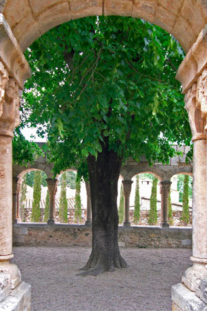 Sant Domènec de Peralada