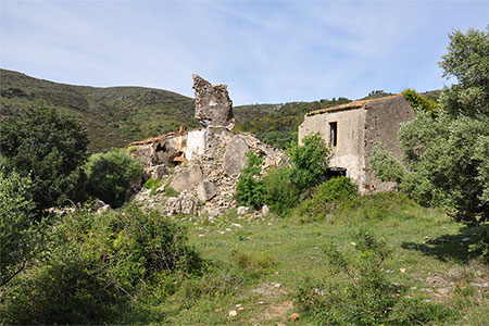 Montjoi