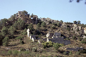 Comanda de Selma