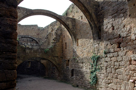 Castillo y canónica de Loarre