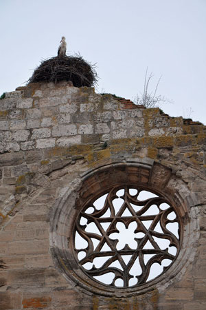 San Francisco de Burgos