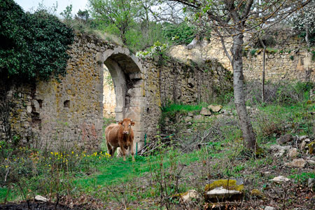 Santa María de Rioseco