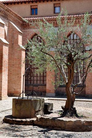 Catedral de Santo Domingo de la Calzada