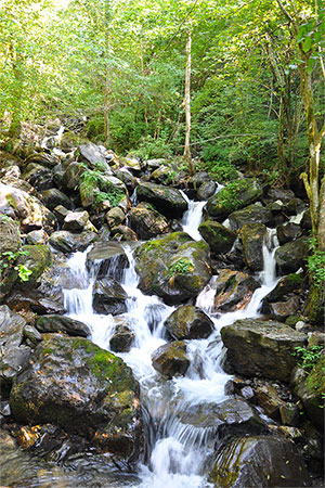 Saint-Orens de Lavedan