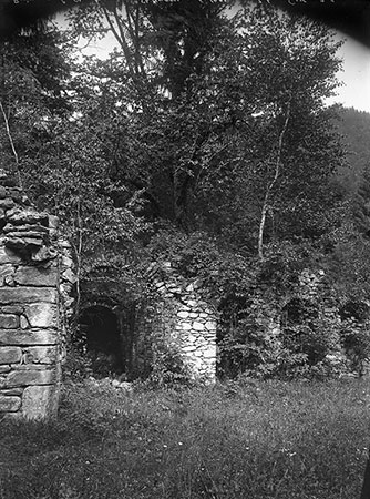 Cartuja de Saint-Hugon