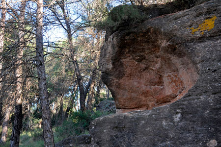 Eremitoris dels Prats de Rei