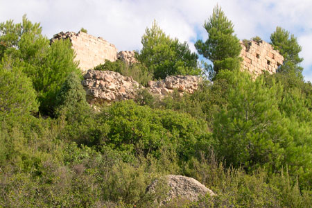 Sant Pere del Mont