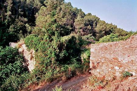 Santa Maria de Valldonzella