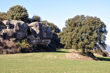 Roc de Sant Joan de Montdarn