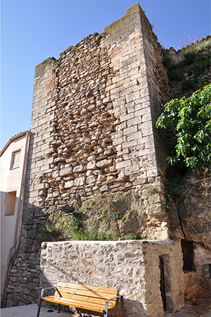 Castell de l'Espluga