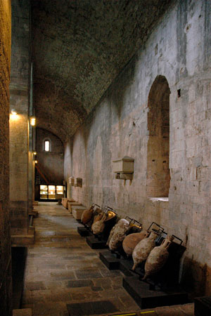 Sant Pere de Galligants