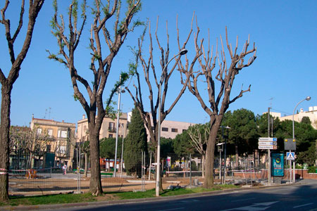 La Immaculada de Mataró