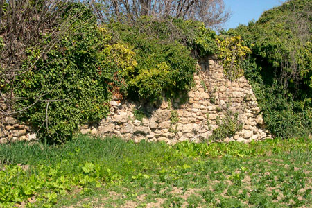 Santa Clara de Conques