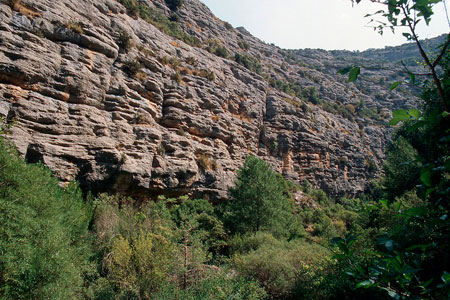 Sant Pere de les Maleses