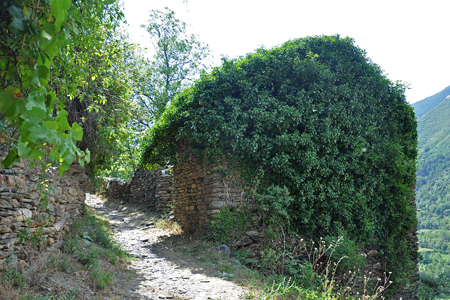 Sant Pere del Burgal