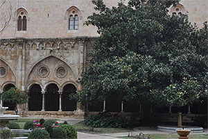 Claustre de la catedral de Tarragona