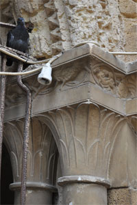 Claustre de la catedral de Tarragona