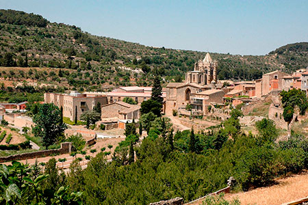 Santa Maria de Vallbona