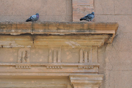 Sant Francesc de Terrassa