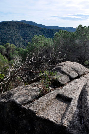 Cova de Can Nadal